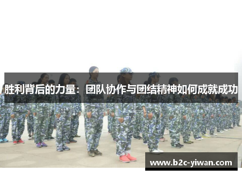 胜利背后的力量：团队协作与团结精神如何成就成功