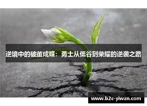 逆境中的破茧成蝶:勇士从低谷到荣耀的逆袭之路 逆境中的破茧成蝶:勇士从低谷到荣耀的逆袭之路