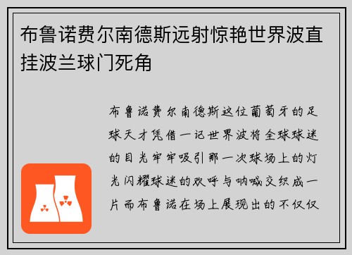 布鲁诺费尔南德斯远射惊艳世界波直挂波兰球门死角
